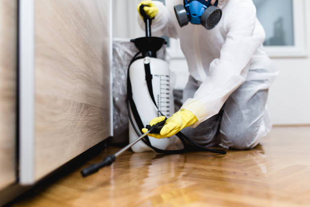 Best Pest Prevention Services  in Elk Rapids, MI