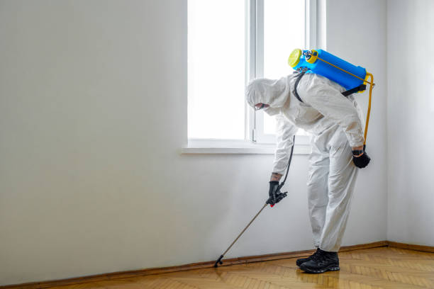 Insect Control in Elk Rapids, MI