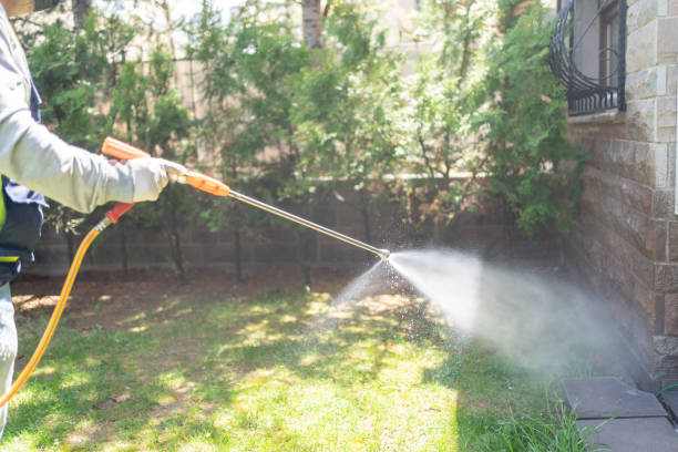 Best Wasp Removal Services  in Elk Rapids, MI